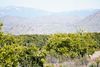 40921 Road 150 photo